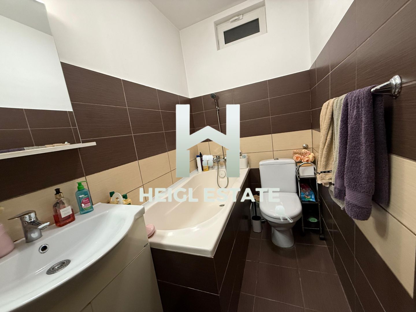 Casa individuala cu 3 camere in zona Sagului - Poză 13