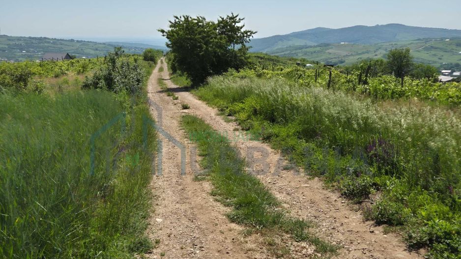 Teren intravilan de vânzare în comuna Tomesti - Poză 3