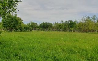 Teren Intravilan Valea Avrigului- 839 mp-Raul in fata terenului - Poză 6