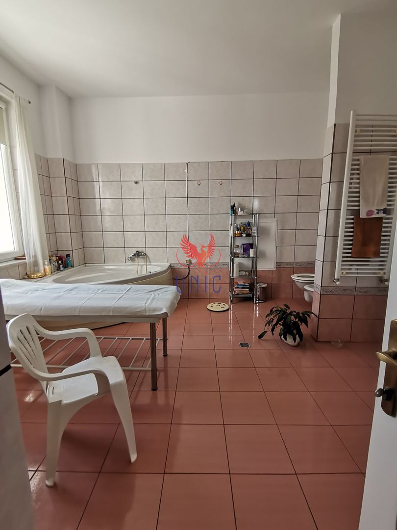 Vila Brazda lui Novac zona Paltinis - Poză 16