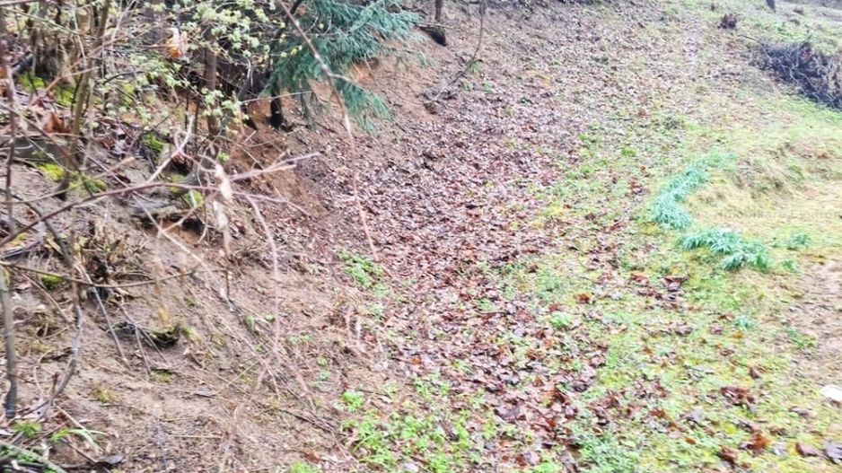 Teren intravilan1291 mp Schei Str Nisipului iesire la Drumul Poienii - Poză 6