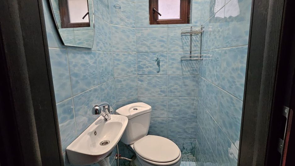 Apartament cochet vila Ferdinand Gara de Est - Poză 5