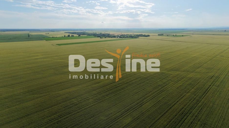 Teren extravilan, neimprejmuit, disponibil imediat, Dumbrava, Prahova - Poză 7