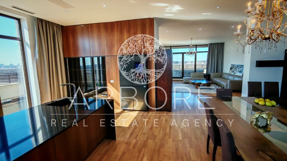 Penthouse 5 camere 250 mp lângă Ambasada SUA , zona Băneasa București - Poză 4