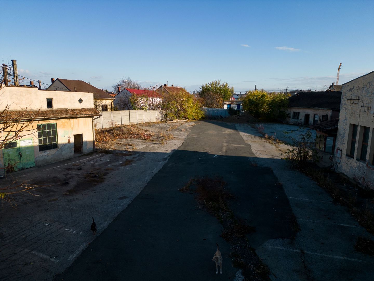 Imobil în suprafață de 3151mp pe Str.Ardealului - Poză 5