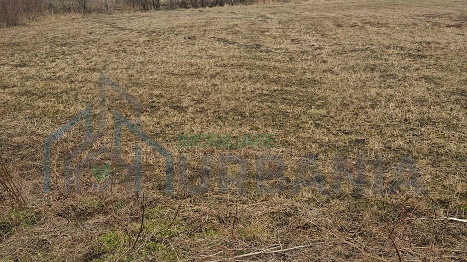 Teren intravilan de vanzare, 3160 mp, strada Garii, sat Hodora, comuna Cotnari - Poză 4