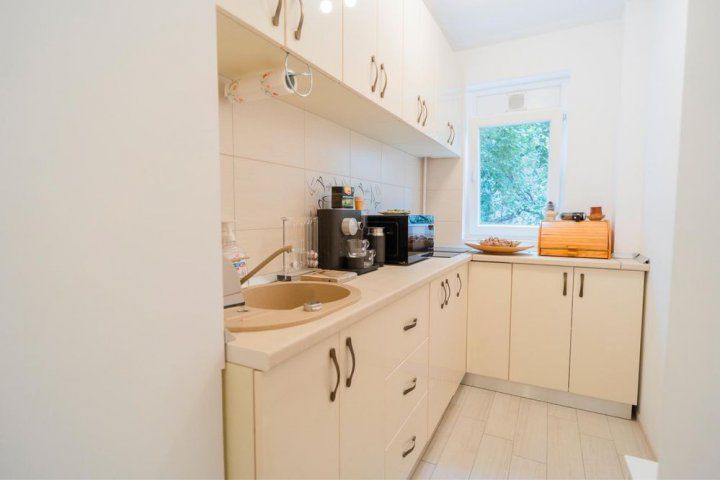 APARTAMENT LUX | DOROBANTI - Poză 8