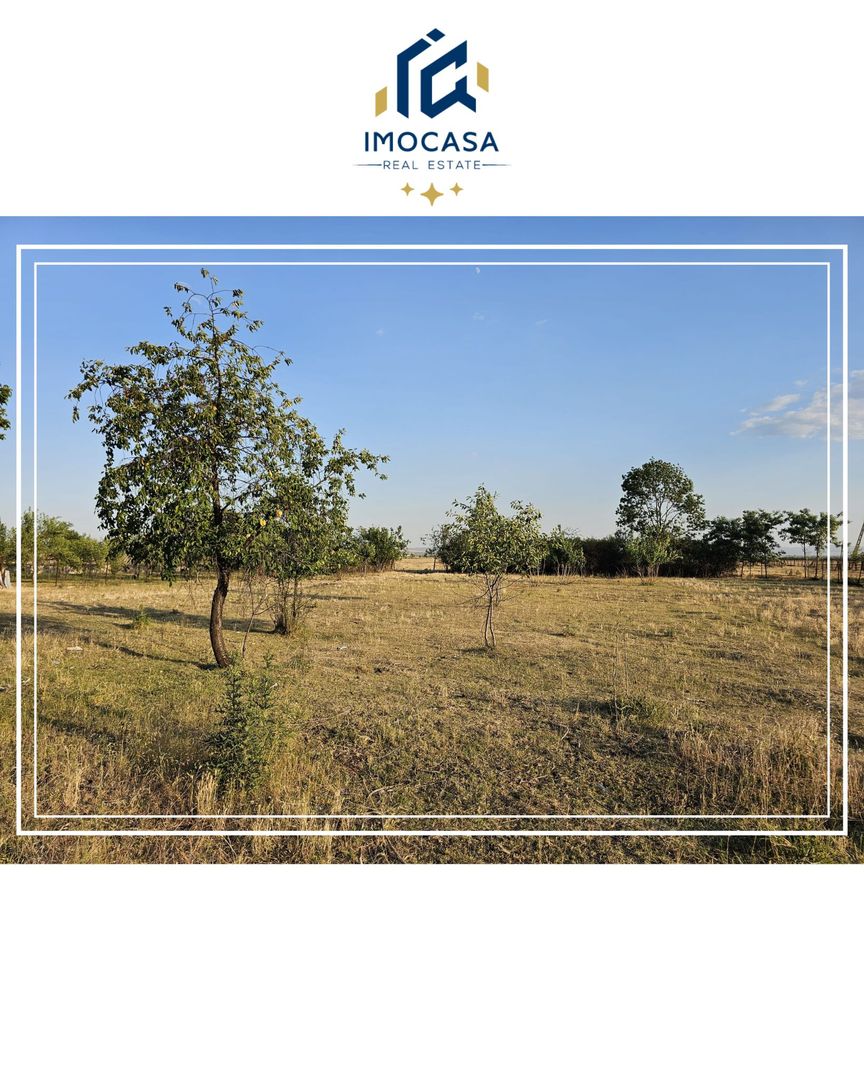 Opurtunitate si liniște Casa de vânzare la cheie Mocrea Jud. Arad - Poză 32