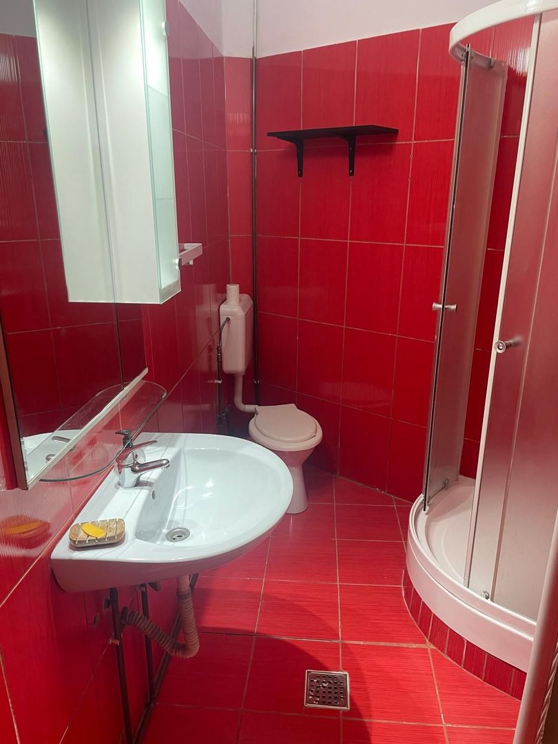 3 camere 6 paturi  parcul Carol  | Unirii | Filaret | Cosbuc - Poză 10