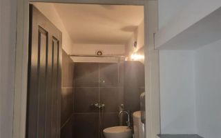 Casa de inchiriat in zona Giulesti - Poză 6