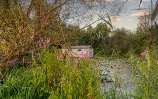 Teren Lacul Snagov 1.976 mp | 19,18 m front la lac | Vilă P+1 | 0% com - Poză 6