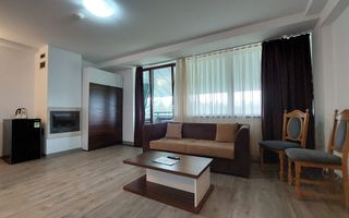 2 camere, intim, semineu, Silver Mountain - Poză 5