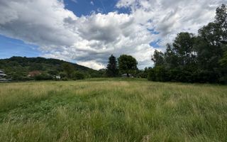 Teren plat-intravilan -3800 mp, cu pădurice și ieșire la râu! - Poză 16