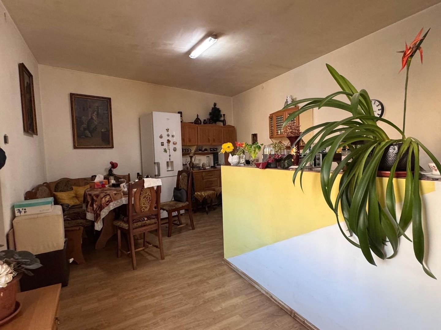 CASA SINGUR IN CURTE CU TEREN GENEROS | PIATA CLUJ | TEREZIAN - Poză 8