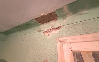 Comision 0! | Casă + teren generos | 2600 m² | Oportunitate unică - Faureni - Poză 22