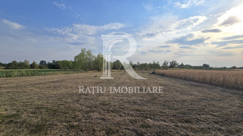 Teren intravilan 6.514mp | 39m front stradal | Ciocaia | Săcuieni - Poză 3