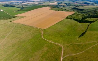 Teren arabil de 62 hectare în Prahova - Poză 1