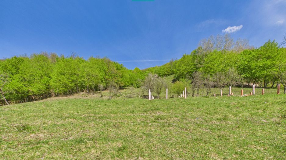 Teren  pentru investiții  în Luncoiu de Jos - Poză 9