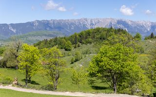 Fundata-Teren de vanzare 15,771 mp intravilan+extravilan+padure - Poză 7