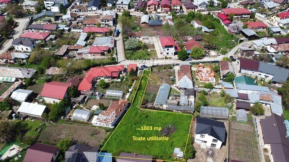 TEREN RAR DE 1.003 MP – O OAZĂ DE VERDEAȚĂ ÎN MIJLOCUL COMUNEI BERCENI - Poză 3