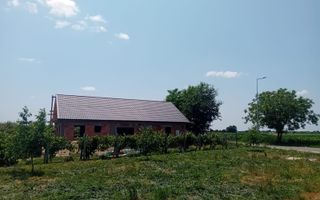 Vand/Schimb Livada Belint 16000mp - Poză 19