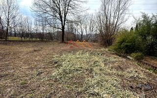 Teren intravilan 3171 mp | Cornu | 29 €/mp - Poză 6