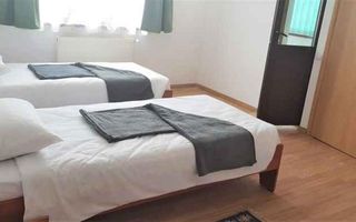 Casă spațioasă cu potențial de pensiune sau clinica, zona Zorilor - Poză 7