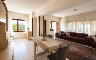 Duplex P+1 | Cartier Albert | Teren 2.613 mp | 450 S.U.T | Comision 0% - Poză 3