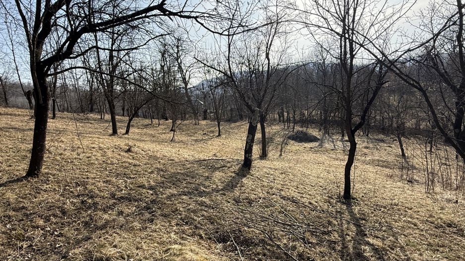 Teren intravilan 2788 mp deschidere 55 ml cu vedere panoramica ! - Poză 5