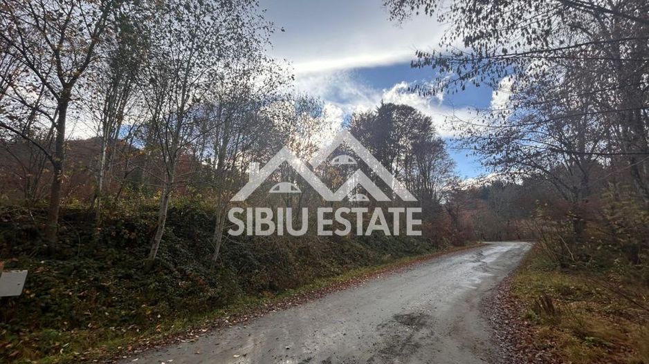 Oportunitate de investiție – Teren pentru hotel / pensiune pe Valea Avrigului - Poză 5