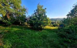 Teren Intravilan 3250 mp / Casa batraneasca / Pausesti Maglasi - Poză 3