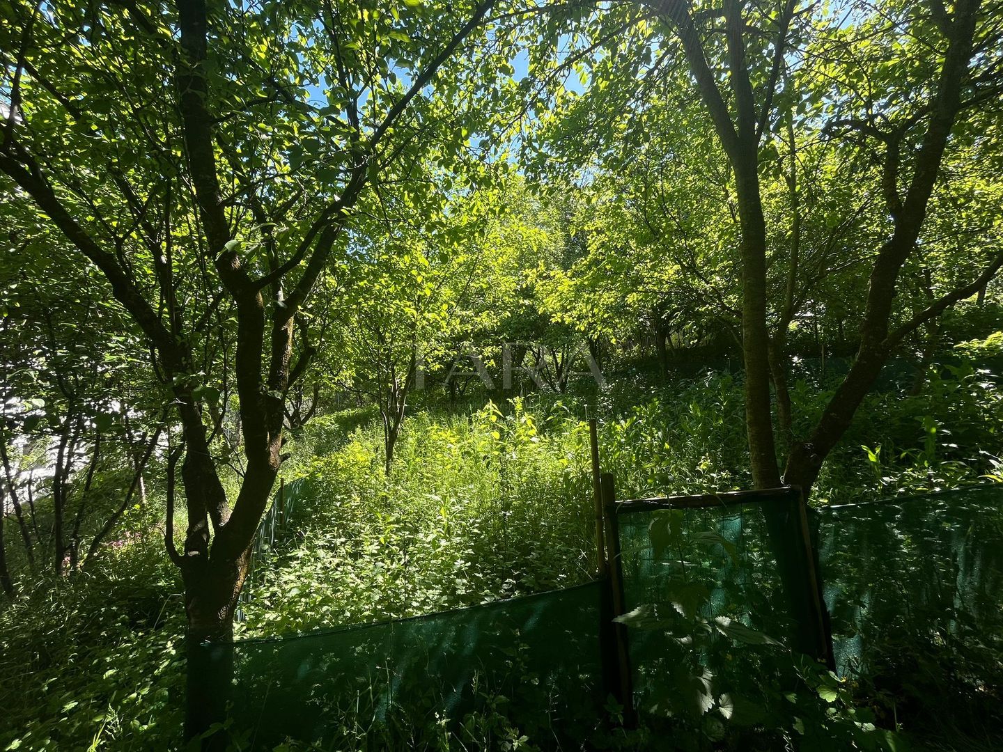 Teren Intravilan, Manastur - Poză 1