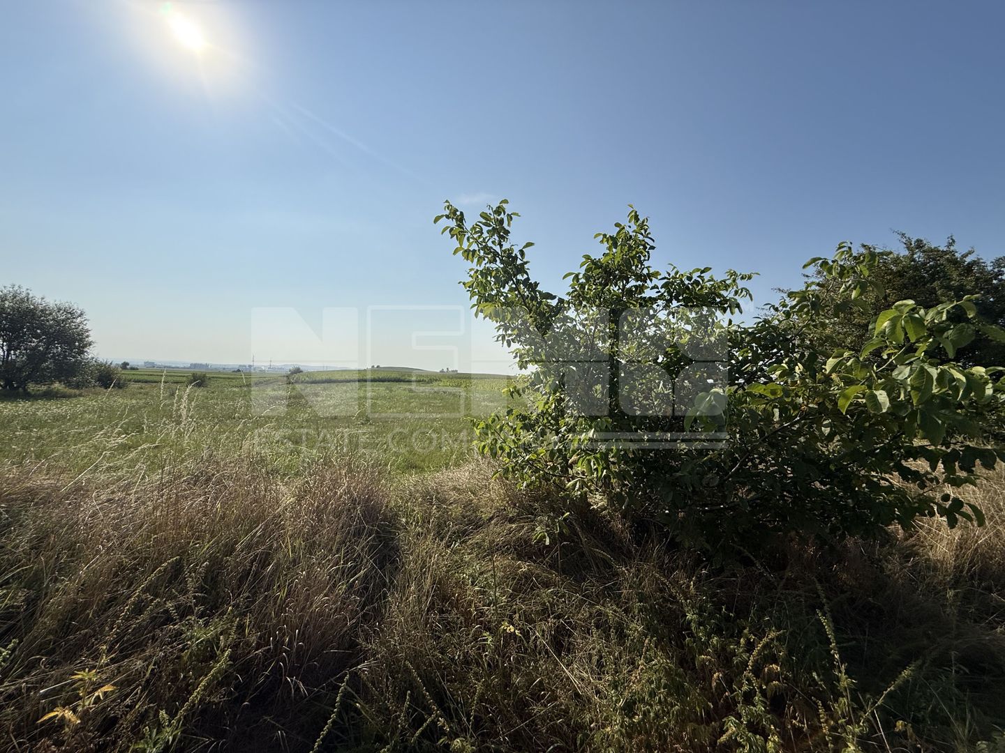 Teren extravilan | Rădăuți | 600 m de centură | 20 m front - Poză 2