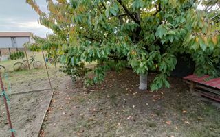 Casă 4 camere de închiriat | Curte mare | Dumbrăvița - Poză 29