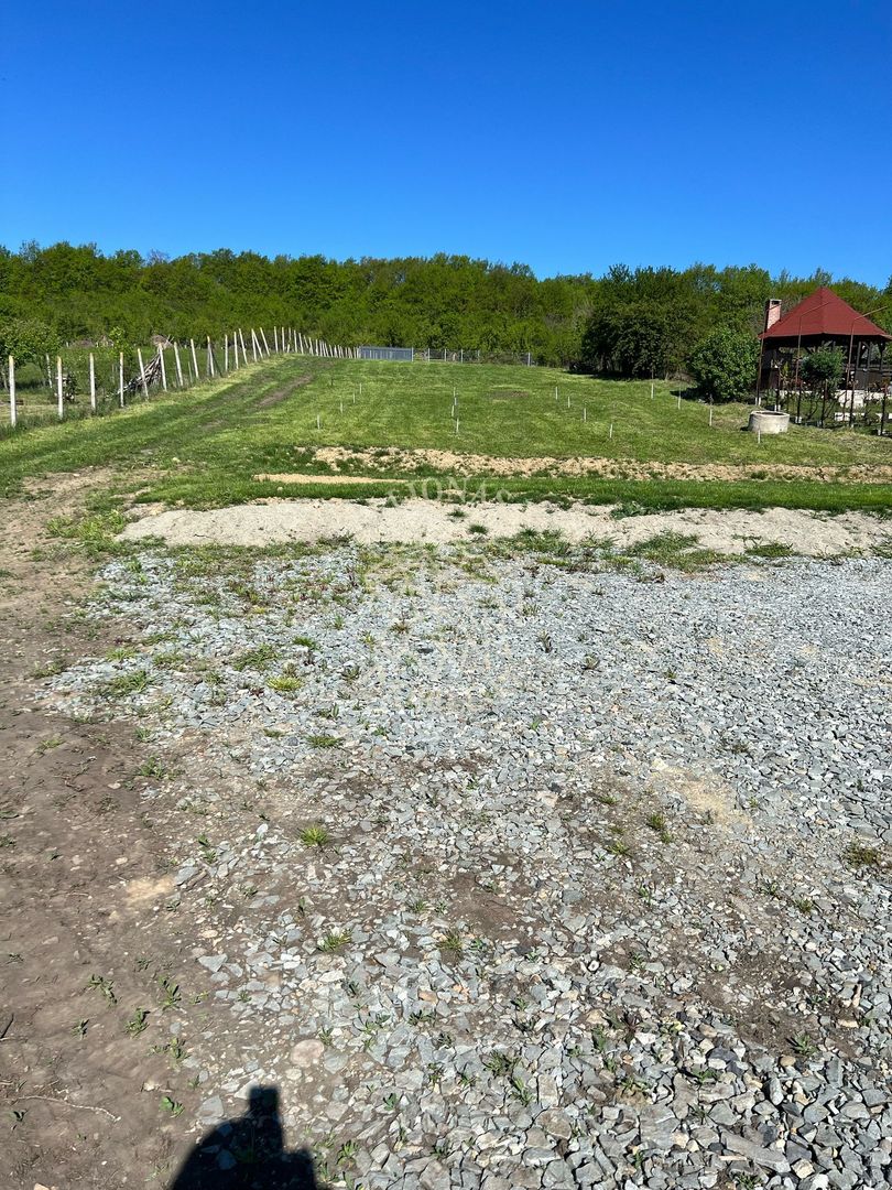2 Parcele intravilane de 900 mp-utilitati-ideal casa-Viile cu Pomi - Poză 5