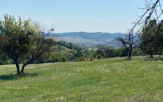 Teren 11.000 mp-ideal cabana/ferma-Unirea-Valea Slatinitei - Poză 5