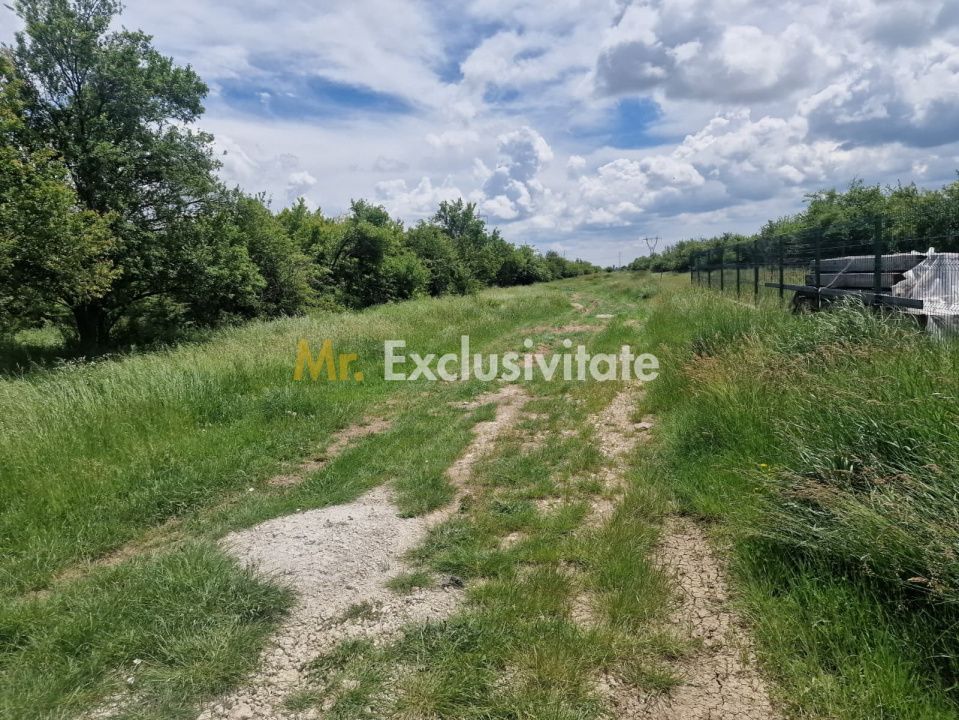 0% Comision!!! Teren intravilan Smeura - str Prunilor! - Poză 6