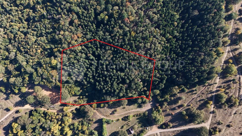 Aproape de Brașov, departe de agitație - Teren cu pădure în Cristian - Poză 3