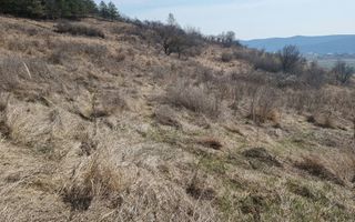 Teren de vanzare in Corunca –5.000 mp /55.000 EUR - Poză 3