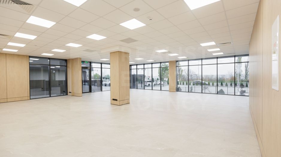 Chirie un complex de birouri ultra-modern, bulevardul Dacia, Botanica - Poză 11