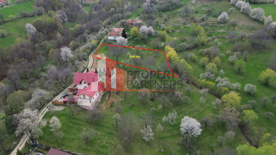 TEREN PREMIUM ÎN BRAN – SOHODOL | 3000 MP CU PANORAMĂ EXCEPȚIONALĂ - Poză 4