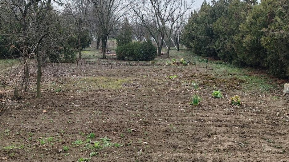 Teren 2.600 mp, utilități, Str. Merișor – Giurgiu - Poză 4