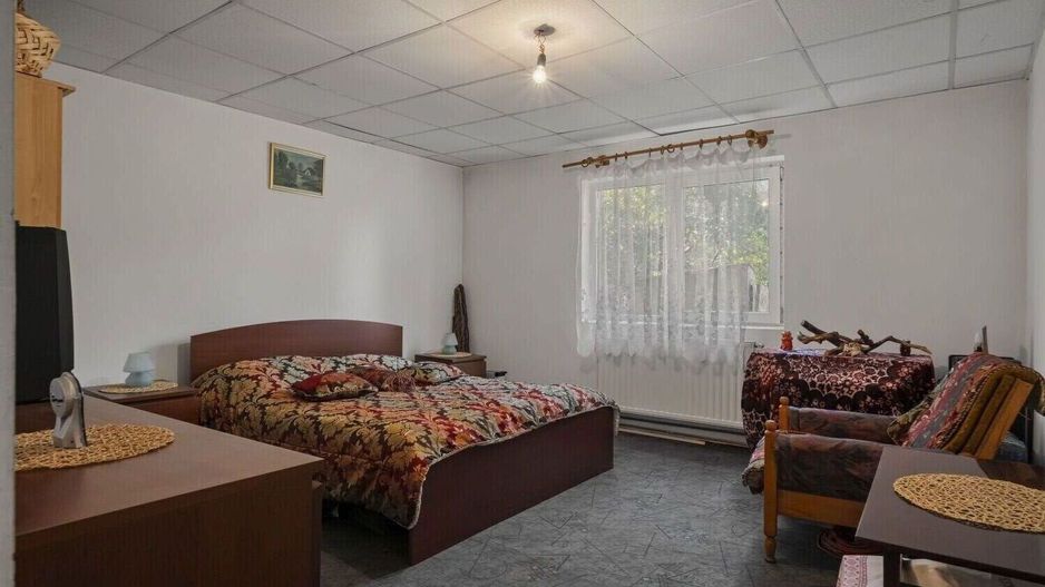 Casa P+M in Ciolpani - Snagov, oaza de liniste si verdeata - Poză 18