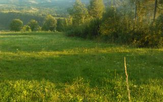 Teren intravilan 5360mp Bistrita Nasaud | Tiha Bârgăului - Poză 10