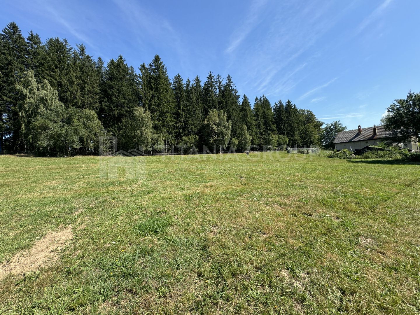 Platou montan, 6631 mp intravilan, electricitate,  langa pădure - Poză 4