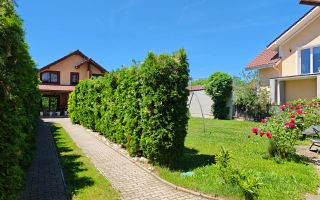 Vand Casa 2 corpuri, P+E, Romanilor, 4 cam, curte, zona de gratar, etc - Poză 30