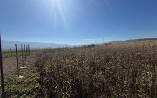 Teren intravilan | 860 mp | Deschidere 16 m | Priveliște montană | Bradu - Poză 16