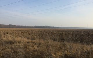 teren Cernica sat Caldararu - Poză 6