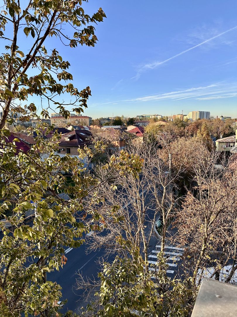 Apartamentul 2 camere renovat Drumul Sarii 24, etaj 4/4 - Poză 7