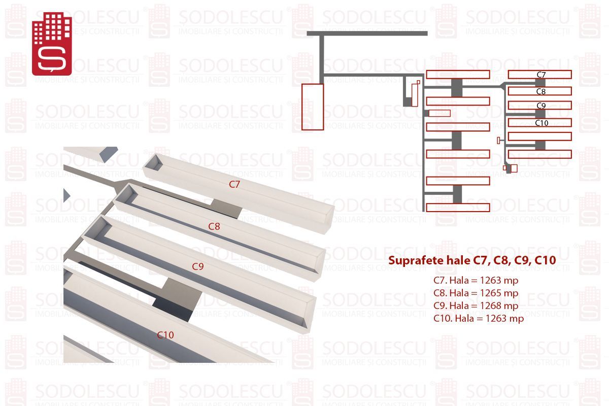 Vanzare hale Mosnita Noua-fosta Ferma 7 - Poză 6